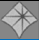 Watermark Presence / Absence